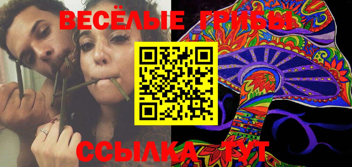 Баксан  Галлюциногенные грибы Cubensis  Вход с VPN 
